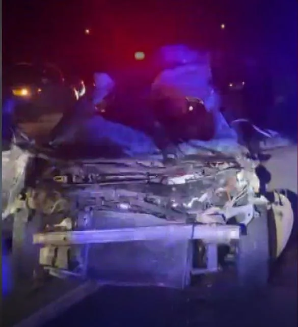 Kastamonu'da yola çıkan büyükbaş hayvana çarpan otomobilin sürücüsü öldü