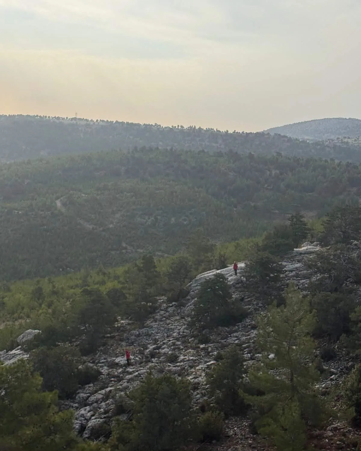 Kayıp kadının cansız bedeni bulundu
