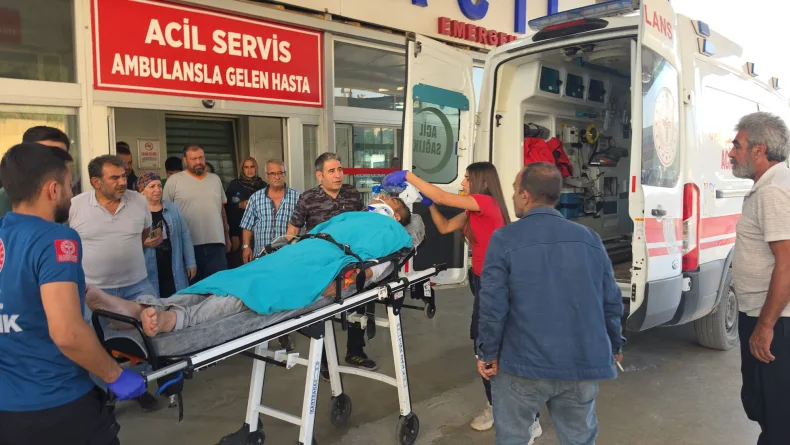 Kestiği ağacın altında kalan emekli uzman çavuş ağır yaralandı
