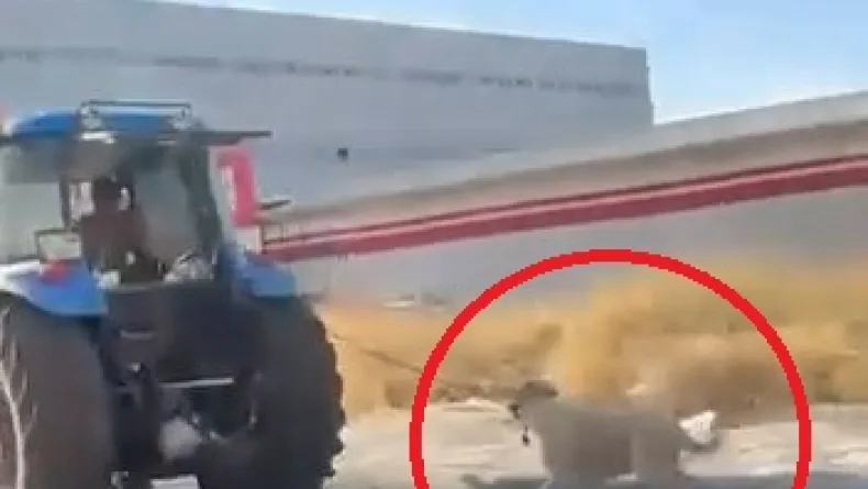 Köpeği traktöre iple bağlayıp koşturdu