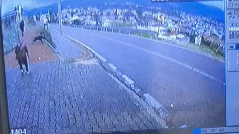 Köpekten kaçarken yüksekten atlayan çocuğun bacağı kırıldı