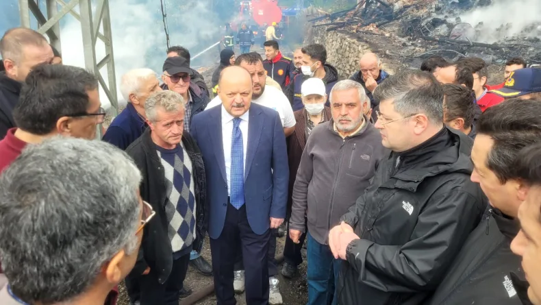 Köyde çıkan yangında 11 ev yandı (3)