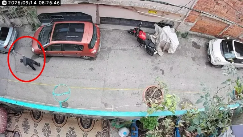 Kucağındaki kediye şiddet uyguladığı anlar kamerada