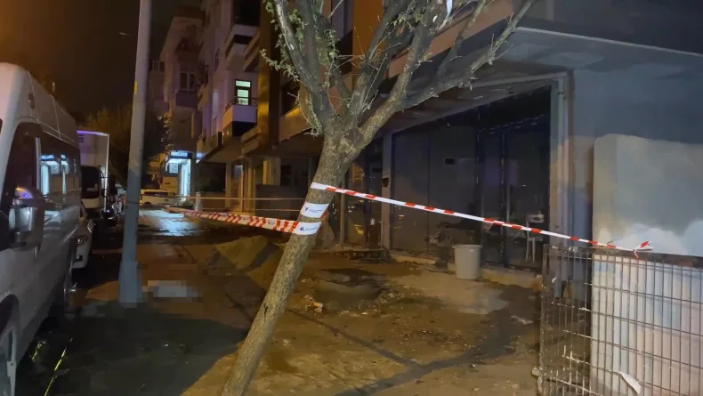 Küçükçekmece'de elektrik akımına kapılan köpek öldü, sahibi yaralandı