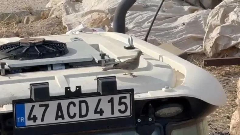 Kumrunun yuva yaptığı traktörünü 33 gün sonra yeniden çalıştırdı