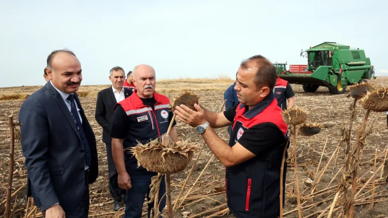 Kuraklıktan etkilenen ayçiçeğinde 3 farklı ekim yöntemi deneniyor