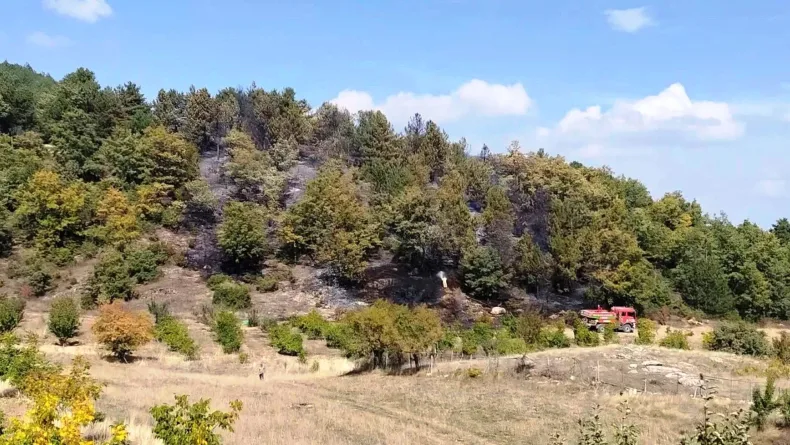 Kütahya’da ormana sıçrayan yangın söndürüldü