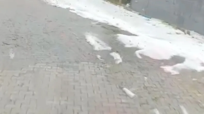 Kuvvetli yağış ve dolu nedeniyle tarım arazileri zarar gördü
