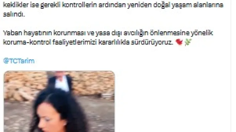Mardin'de yasa dışı av denetimi; 22 kınalı keklik ele geçirildi