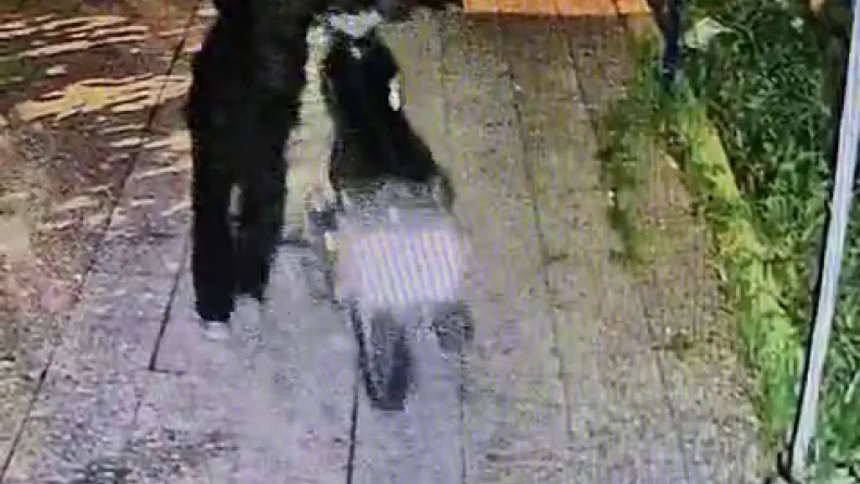 Maskeli hırsızların evin avlusudaki motorsikleti çaldığı anlar kamerada