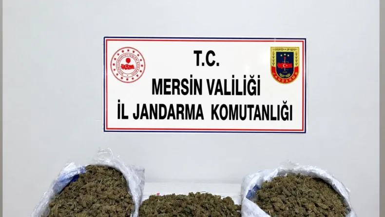 Mersin’de uyuşturucu operasyonları; 2 tutuklama