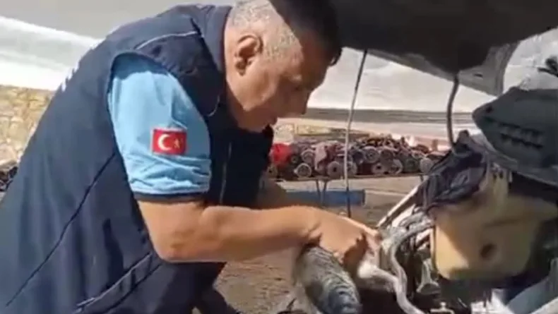 Minibüsün motoruna sıkışan yavru kedi kurtarıldı