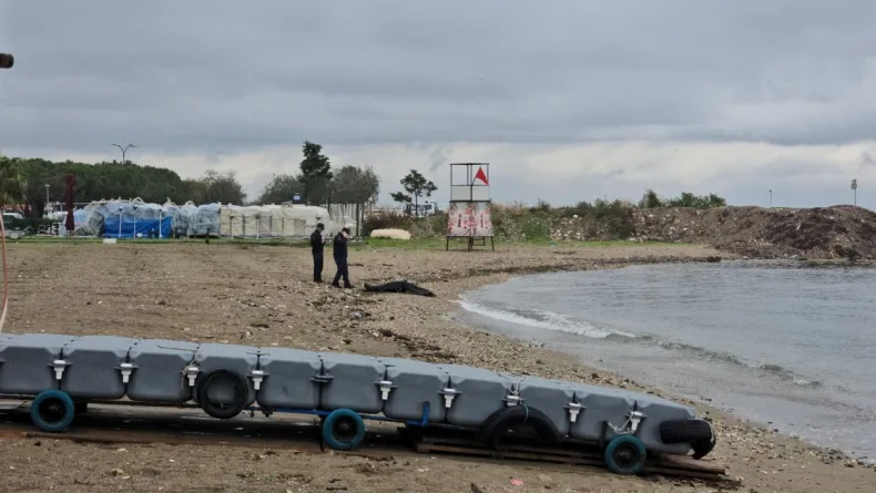 Mudanya'da sahilde erkek cesedi bulundu