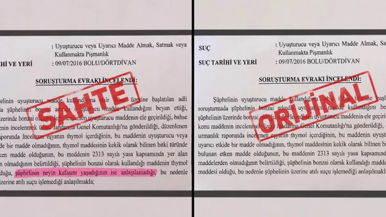‘Neyin kafasını yaşadığı anlaşılamadı’ ifadeli savcılık kararı iddiasına soruşturma