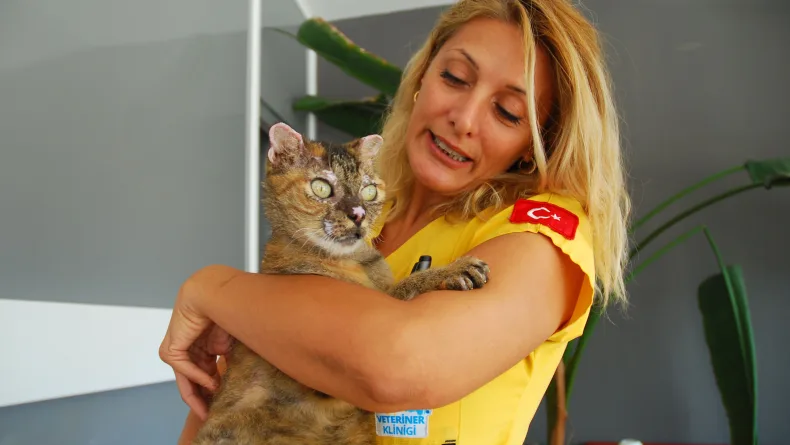 Orman yangınında vücudunun yüzde 40'ı yanan kedi 'Luna', yaşam savaşını kazandı
