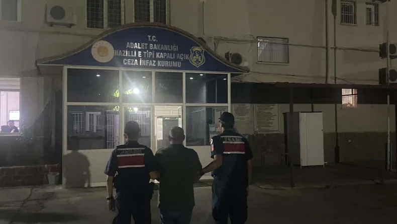 Ormanda kenevir yetiştirirken suçüstü yakalandı
