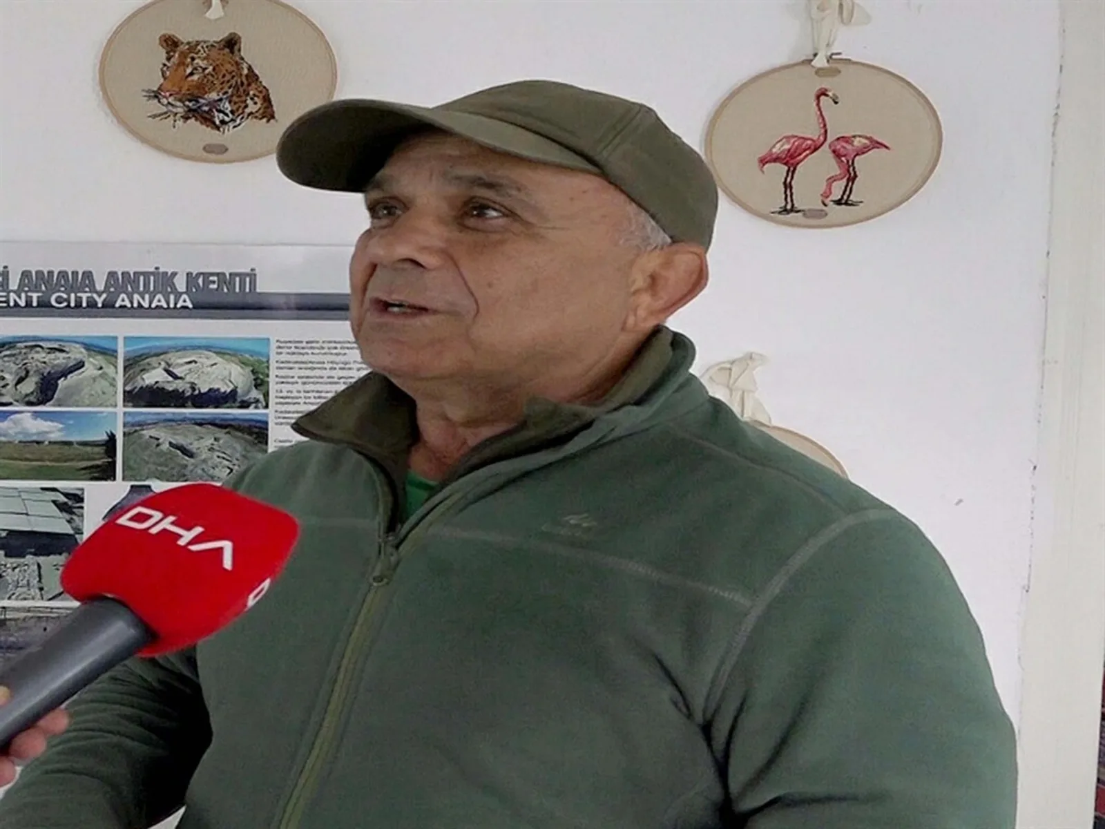 Otomobilin çarptığı yaban domuzunu kementle yol kenarına çekmeye çalıştı