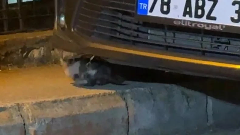 Otomobilin motor kısmına sıkışan yavru kedi kurtarıldı