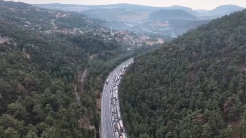 Otoyolda araç yüklü TIR yandı (2)
