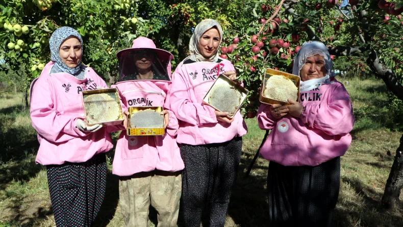 'Pembe maskeli’ kadın arıcılar hasada başladı