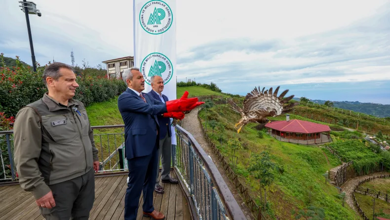 Rize'de tedavisi tamamlanan arı şahinleri çip takılarak doğaya salındı