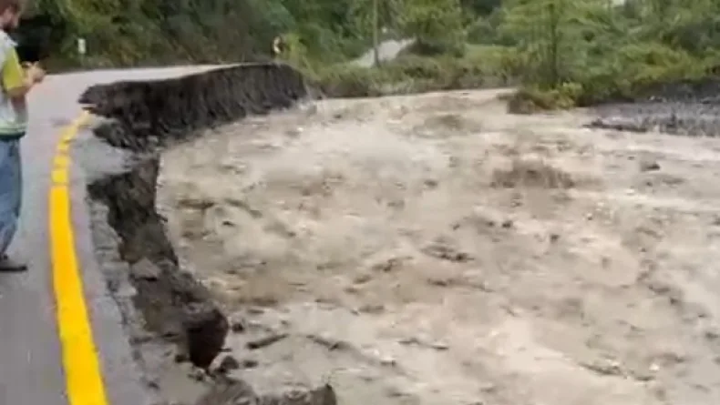 Sakarya'da dere taştı; su baskınları yaşandı (7)