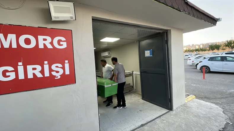 Şanlıurfa'da devrilen otomobilin sürücüsü öldü