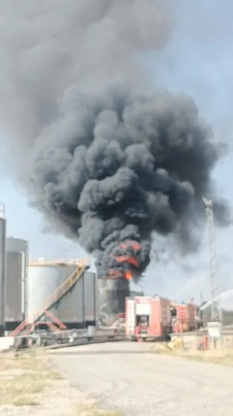 Siirt’teki petrol kampında çıkan yangın söndürüldü