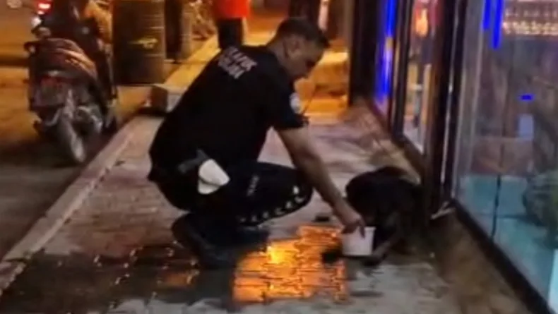 Silahla vurularak yaralanan sokak köpeğine polis ekipleri sahip çıktı