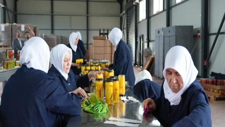 Tarlada kalan meyve ve sebzeler, kadınların elinde yeni nesil turşuya dönüşüyor