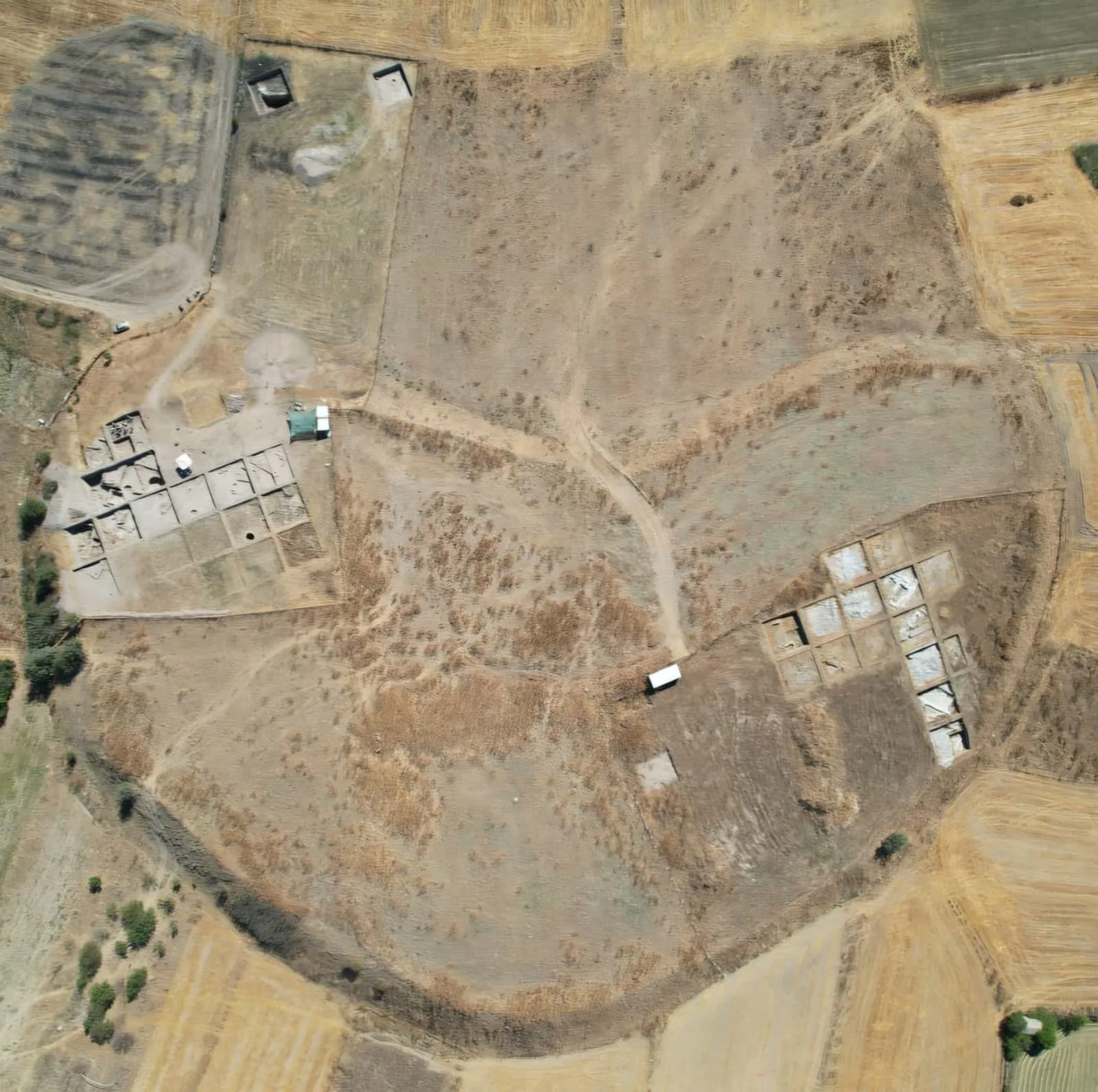 Tavşanlı Höyük'te 4 bin yıllık pati izi bulundu