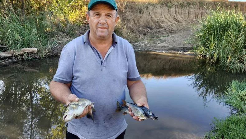 Tekirdağ'da derede toplu balık ölümlerine inceleme