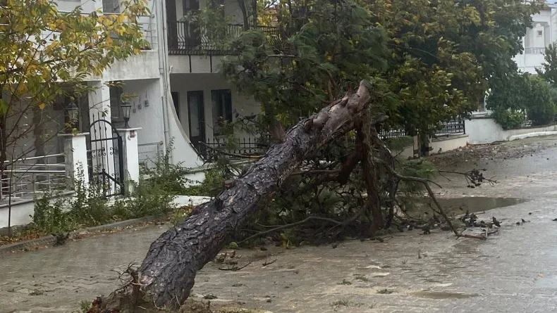 Tekirdağ'da fırtına; eğitim uçuşları iptal edildi, balıkçılar denize açılamadı (3)