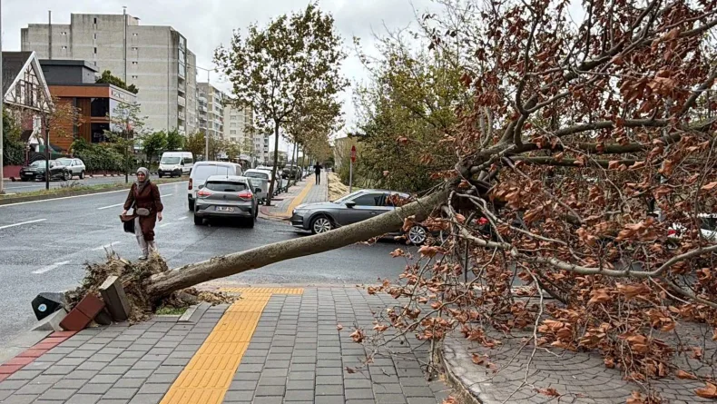 Tekirdağ'da fırtına; eğitim uçuşları iptal edildi, balıkçılar denize açılamadı