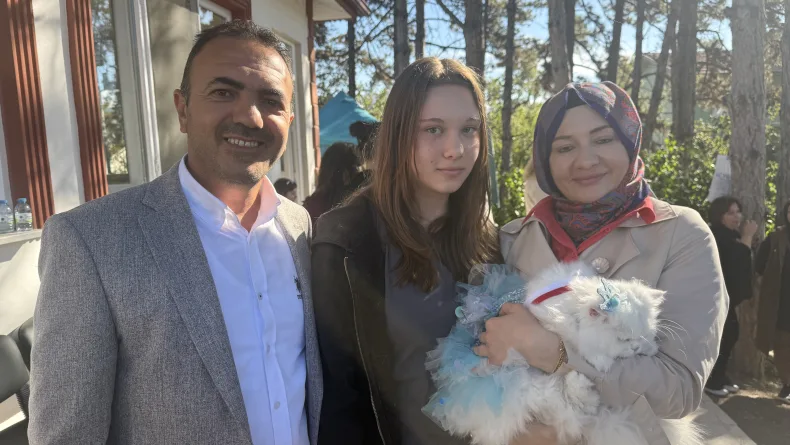 Tokat'ta kediler güzellik yarışmasında podyuma çıktı