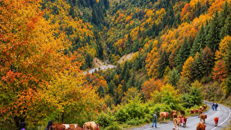 Trabzon'da yaylacıların renkli dönüş yolculuğu