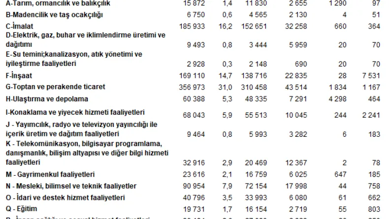 TÜİK: En fazla firma toptan ve perakende ticaret sektöründe yer aldı