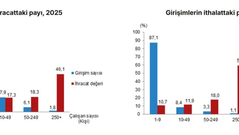 TÜİK: İhracatın yüzde 46'sını, ithalatın yüzde 59'unu büyük ölçekli girişimler yaptı