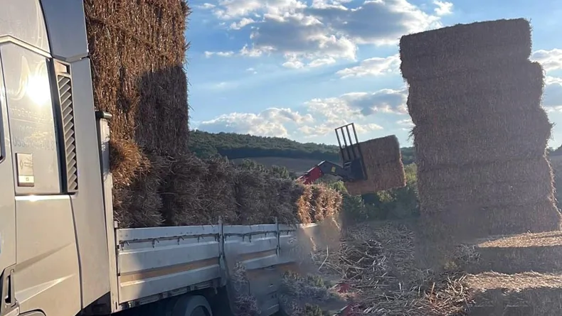 Üzerine saman balyası düştü, öldü