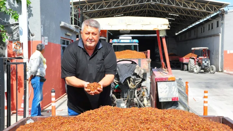 Üzüm alımına başlanan TMO önünde traktör kuyruğu