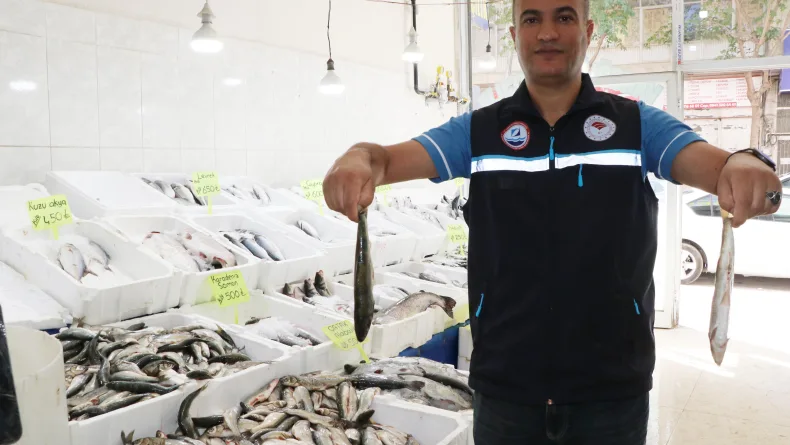 Van Gölü'nde inci kefalinin boyu, koruma çalışmalarıyla yüzde 30 uzadı
