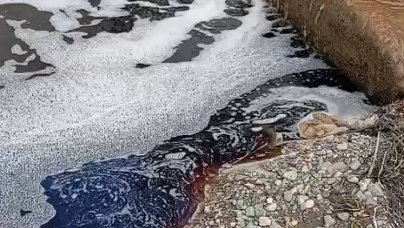 Yalova açıklarında deniz yüzeyi kırmızıya boyandı