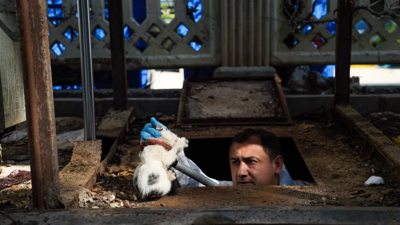 Yer altı çöp konteynerinin altına düşen yavru kediyi ekipler kurtardı