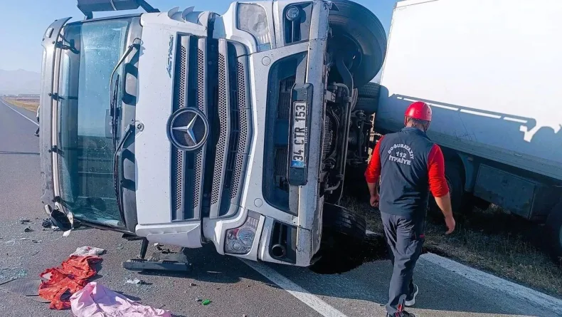 Yola çıkan eşek kazaya neden oldu: 2 yaralı