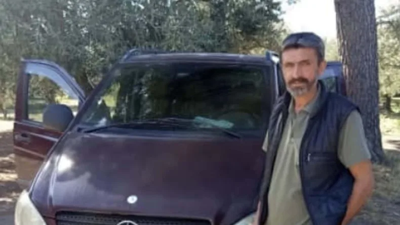 Zeytin toplarken arı soktu, hayatını kaybetti
