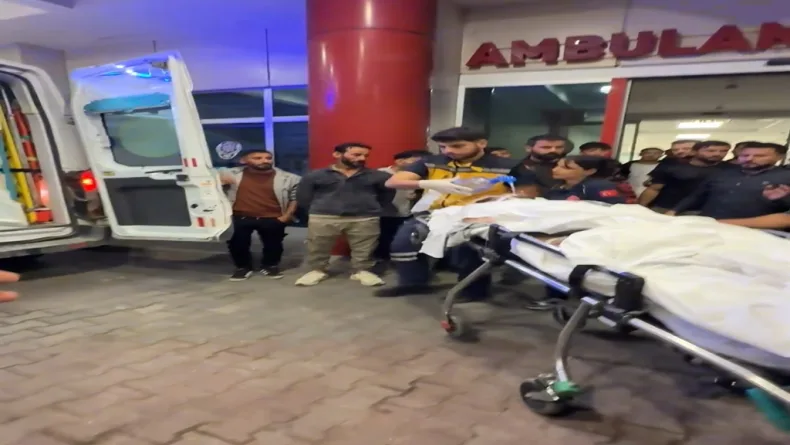 Sakarya elektrik akımı, Karasu elektrik kazası, Vahit Abdülhakim, Küçük Boğaz Mesire Alanı, çatı elektrik kazası, Sakarya son dakika