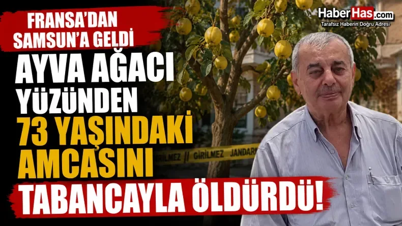 Fransa'dan Samsun'a Geldi 73 Yaşındaki Amcasını Tabancayla Öldürdü