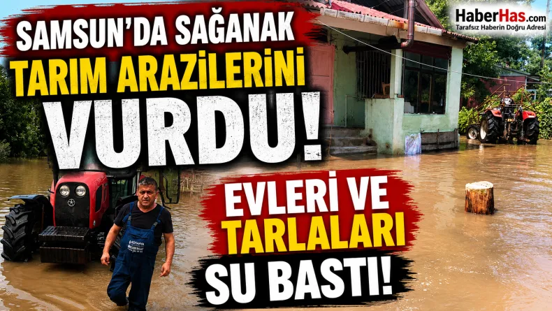 Samsun’da Sağanak Tarım Arazilerini Vurdu: Evleri ve Tarlaları Su Bastı