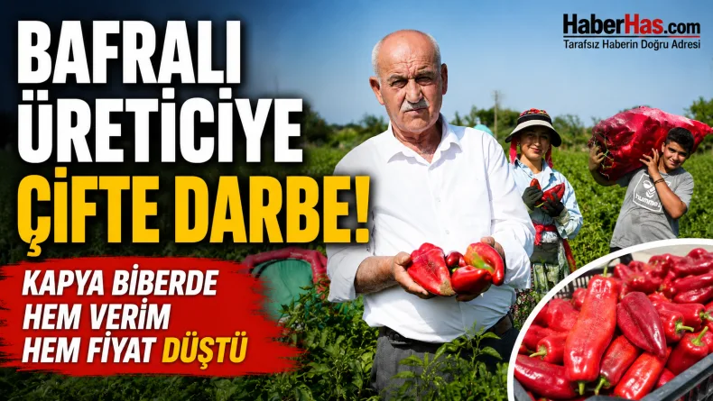 Bafralı Üreticiye Çifte Darbe! Kapya Biberde Hem Verim Hem Fiyat Düştü