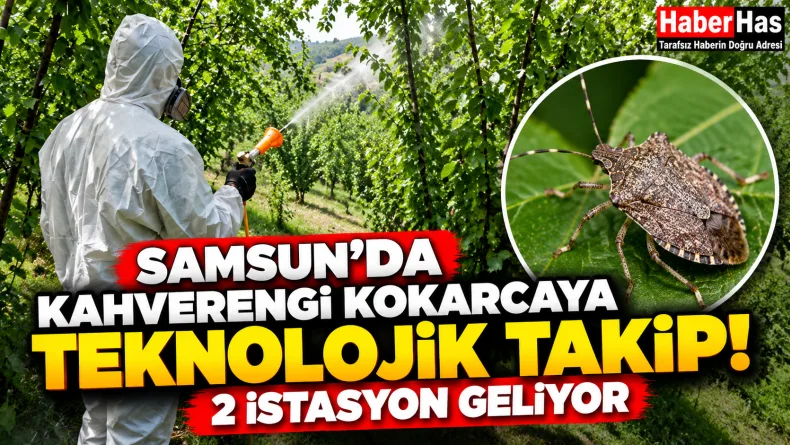 Samsun'a 2 Özel İstasyon Kurulacak! Hedef İstilacı Böcekler